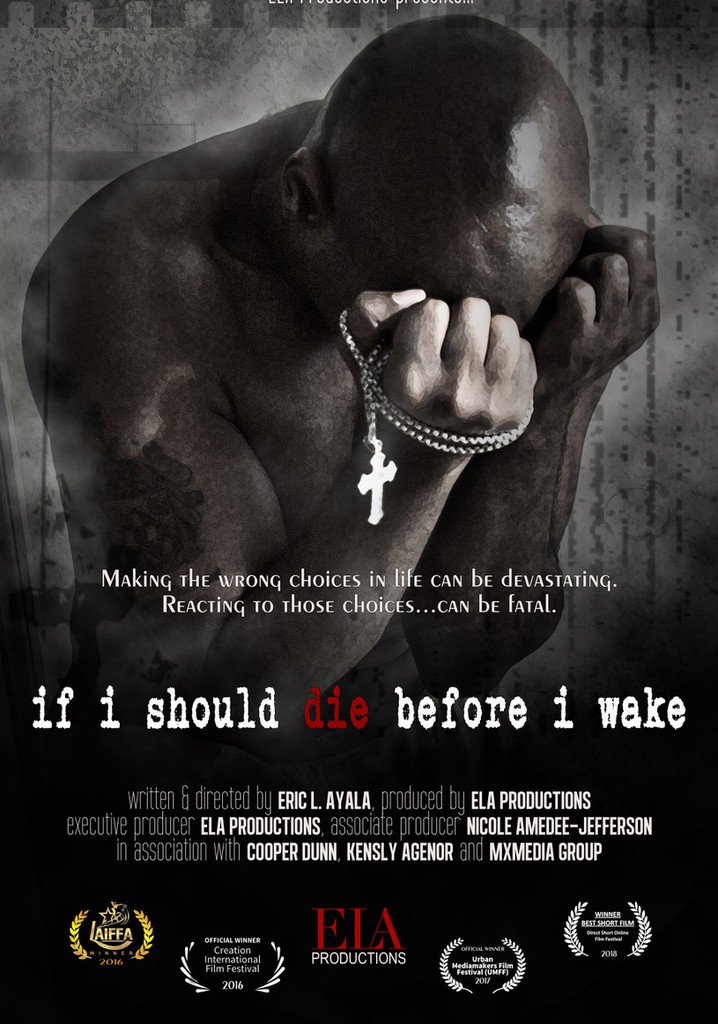 If I Should Die Before I Wake película Ver online