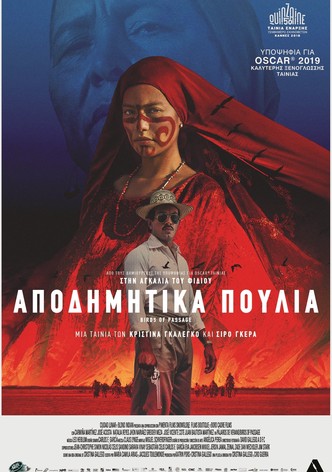 Αποδημητικά Πουλιά