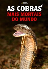 World's Deadliest Snakes