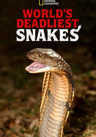 World's Deadliest Snakes S01