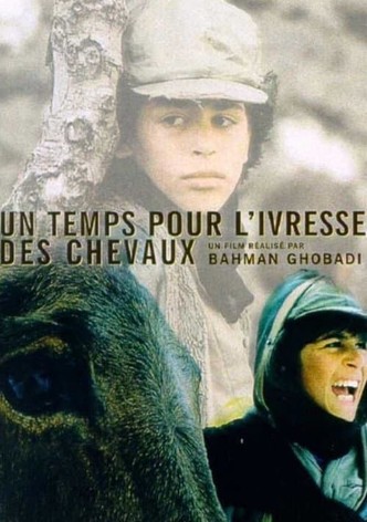 Un temps pour l'ivresse des chevaux