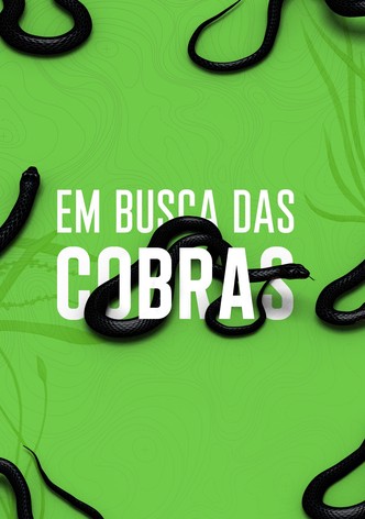 Em Busca das Cobras