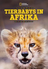 Tierbabys in Afrika