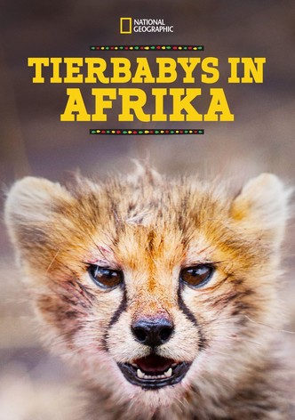 Tierbabys in Afrika