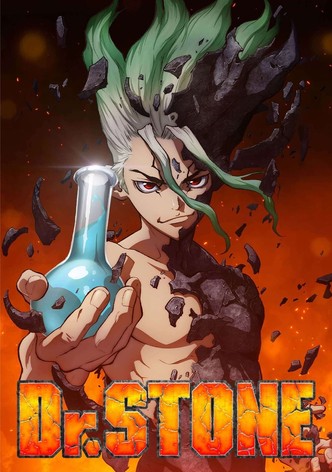 Dr. STONE