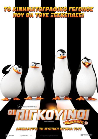 Οι Πιγκουίνοι Της Μαδαγασκάρης