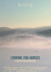 Looking for Horses