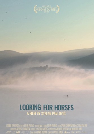 Looking for Horses