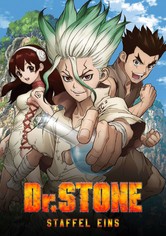 Dr. STONE