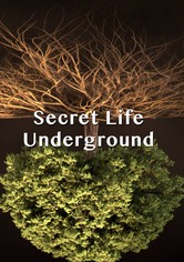 Secret Life Underground - Staffel 1