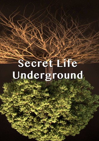 Secret Life Underground
