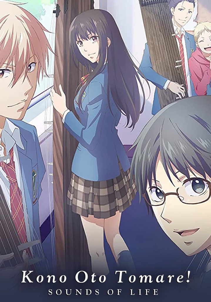 Kono Oto Tomare Sounds of Life Anime Review  wynnesworld