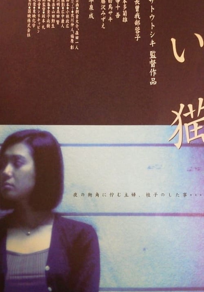 Apartment Wife: Lost Cat