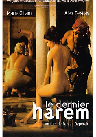 Le dernier harem