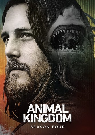 Animal Kingdom streaming tv show online