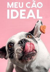 Meu Cão Ideal
