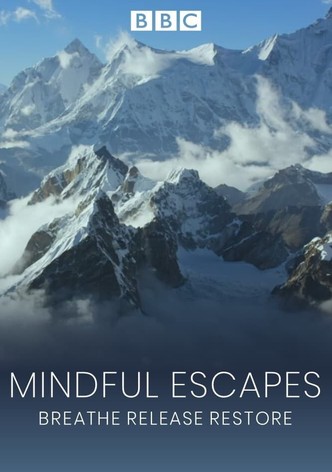 Mindful Escapes: Breathe, Release, Restore