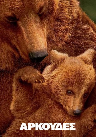 Αρκούδες