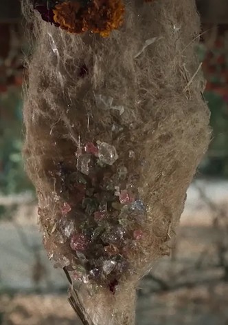 Crystallized Memory