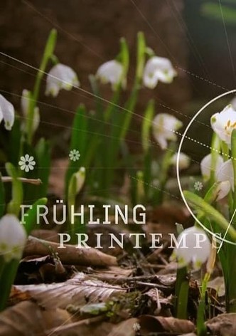 Frühling