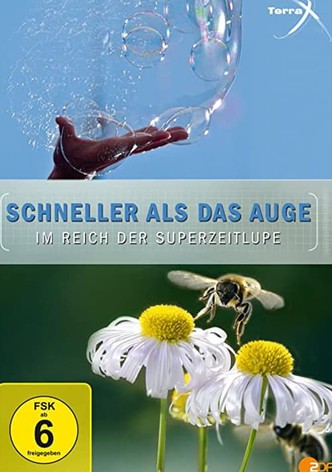 Terra X - Schneller als das Auge