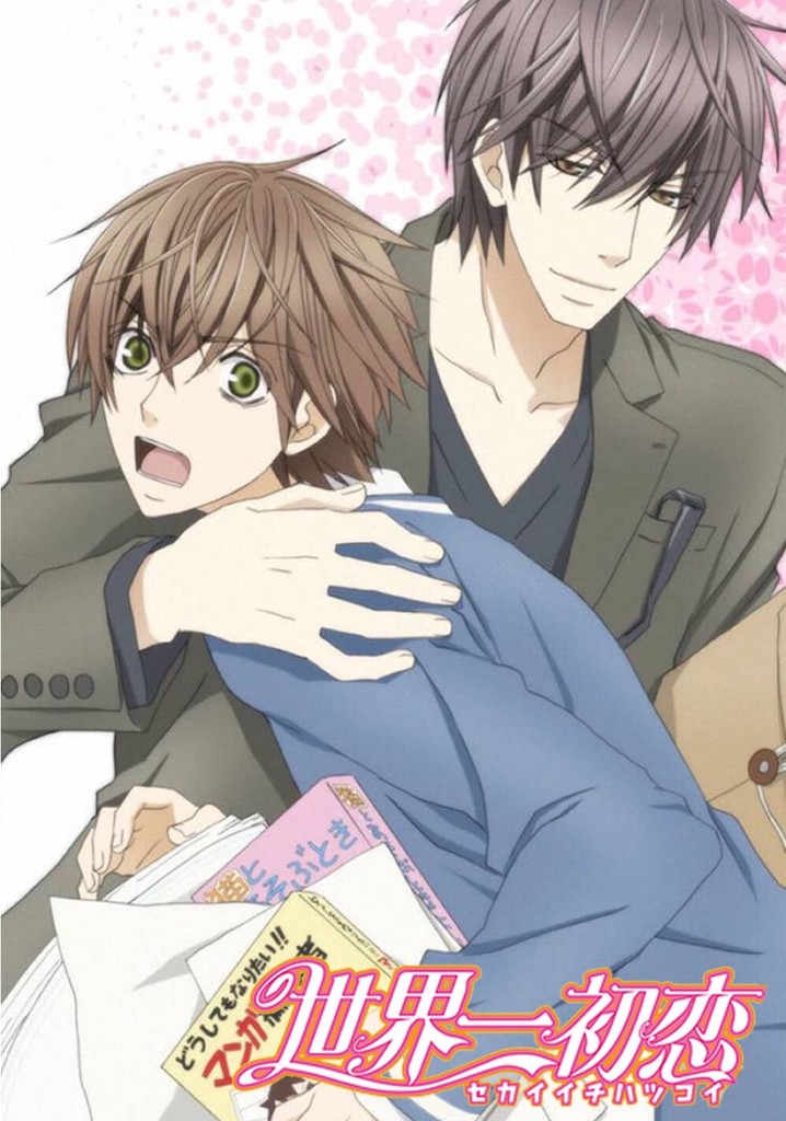 Sekaiichi Hatsukoi temporada 1 - Ver episodios online - Sekai Ichi Hatsukoi Ep 1 Eng Sub