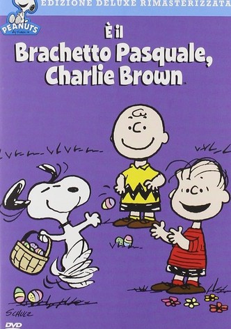 È il bracchetto pasquale, Charlie Brown