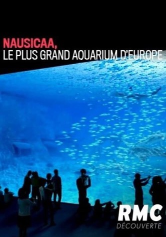 Nausicaa, le plus grand aquarium d'Europe