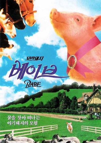 꼬마 돼지 베이브