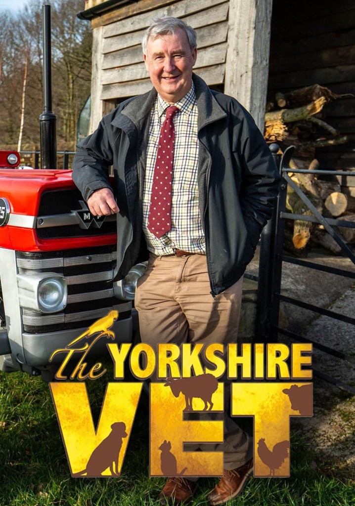 The Yorkshire Vet Season 17 - watch episodes streaming online