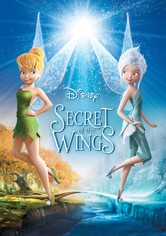 Secret of the Wings