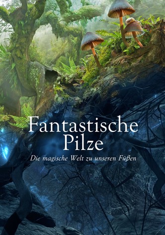Fantastische Pilze - Die magische Welt zu unseren Füßen