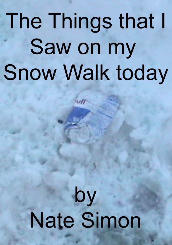 The Things that I Saw on my Snow Walk today
