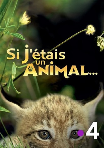 Si J'étais un animal
