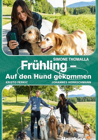 Frühling - Auf den Hund gekommen