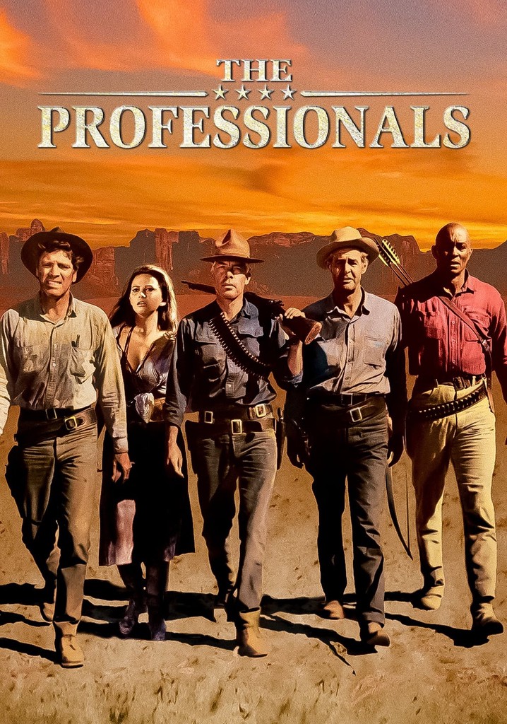 the professional where to watch