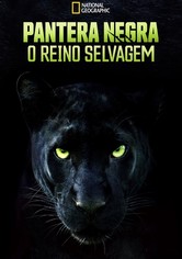 Autêntica Pantera Negra