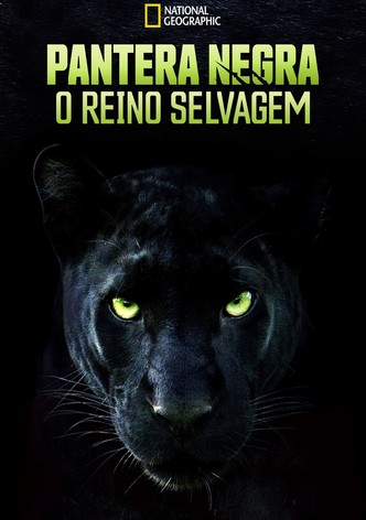 Autêntica Pantera Negra