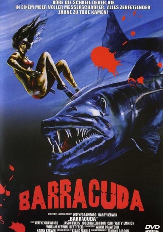 Barracuda