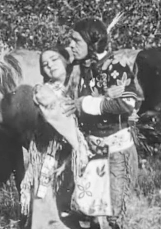 The Cheyenne's Bride