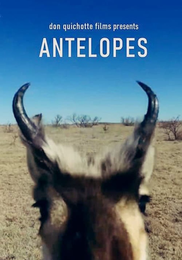 Antelopes