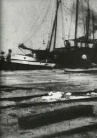 Bird's-Eye View of Dock Front, Galveston