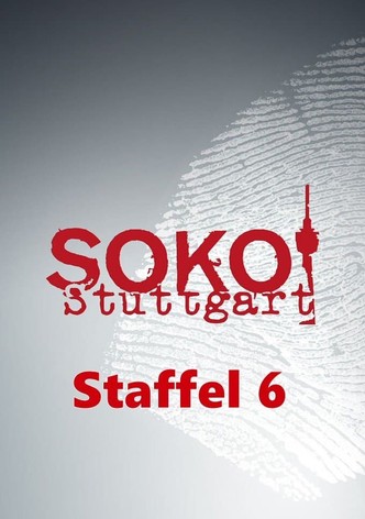 Staffel 6