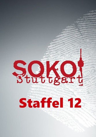 Staffel 12