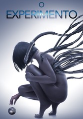 O Experimento