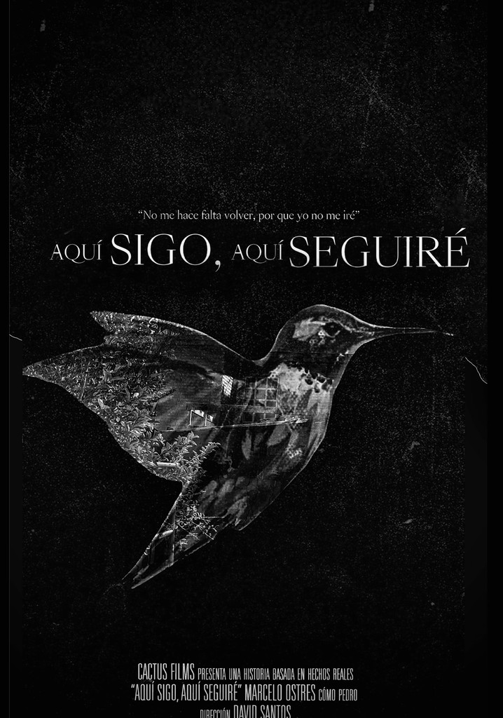Aquí Sigo, Aquí Seguiré