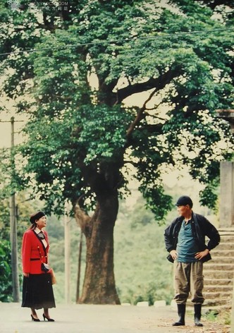 The Tofu Maker Had a Dream