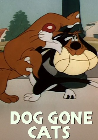 Doggone Cats