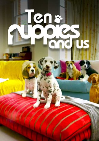 10 Puppies And Us
