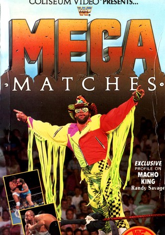WWE Mega Matches